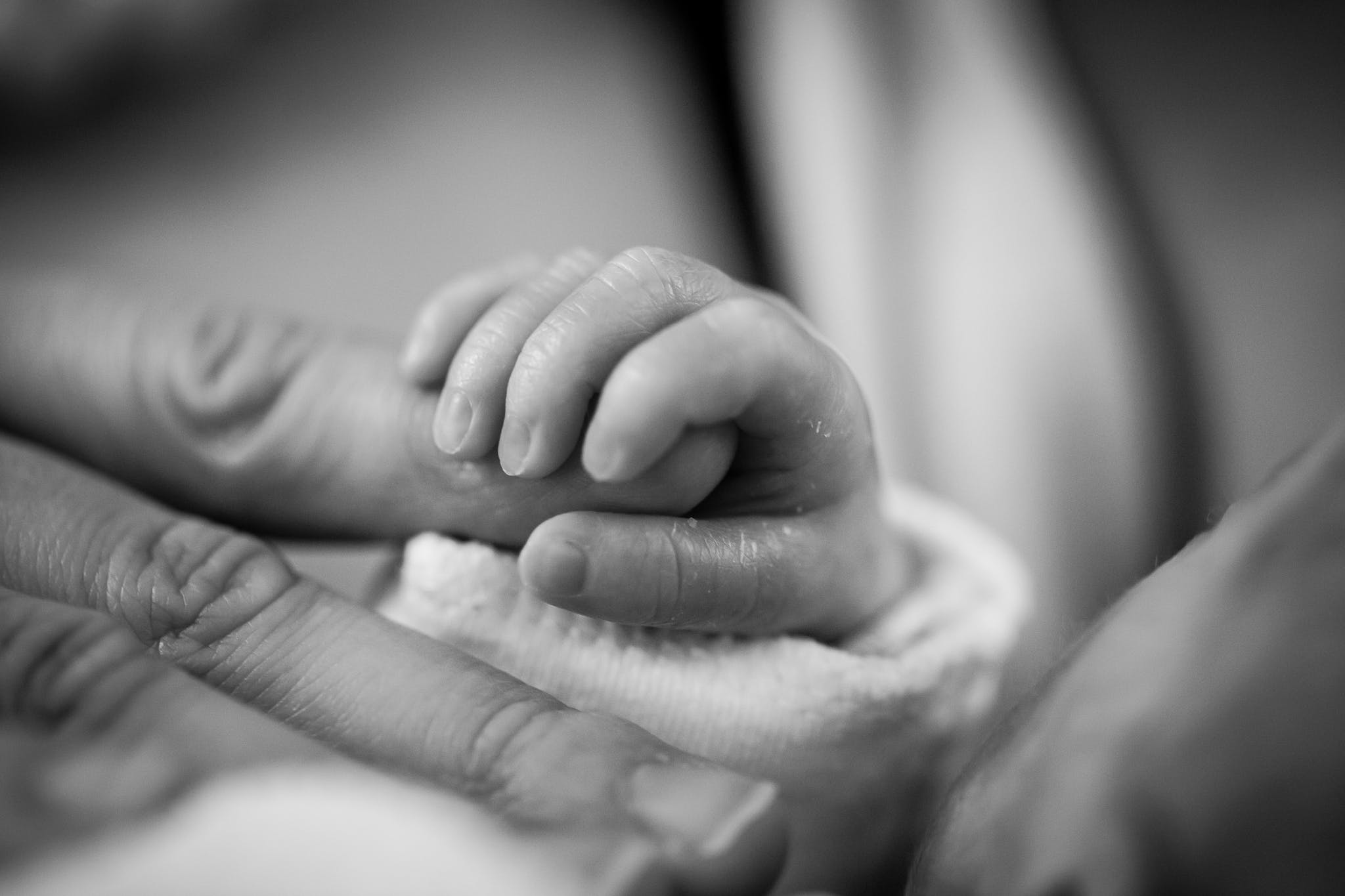  Baby's Hand