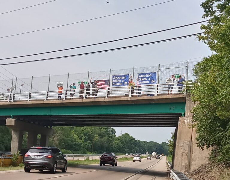 Pro-LIFE Bridges Day-2024!